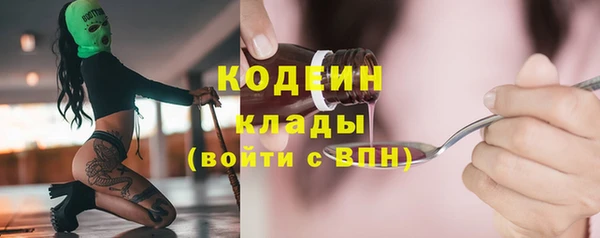 гашик Новозыбков